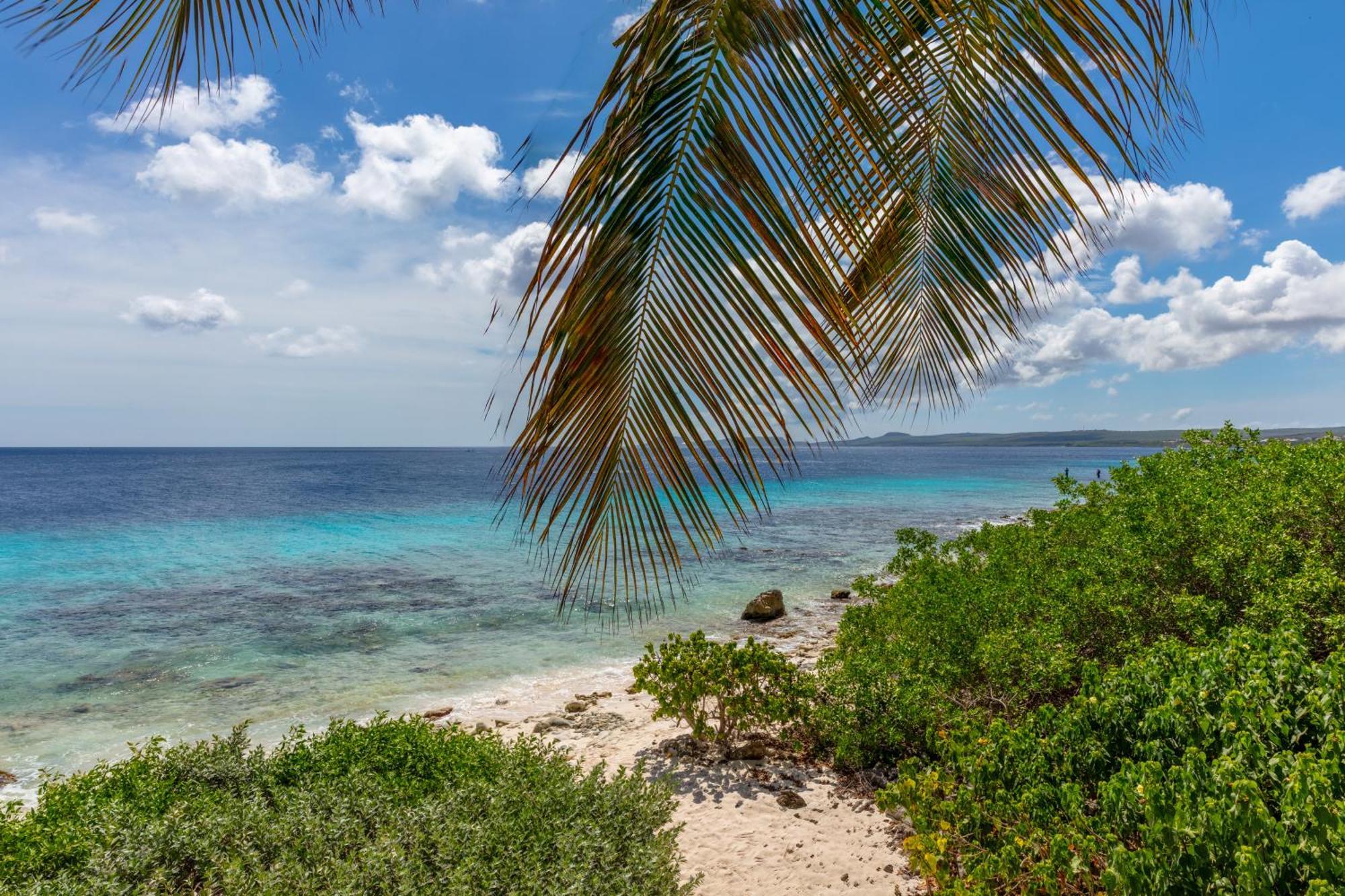 One Ocean Boutique Apartments & Suites Bonaire Kralendijk  Bagian luar foto