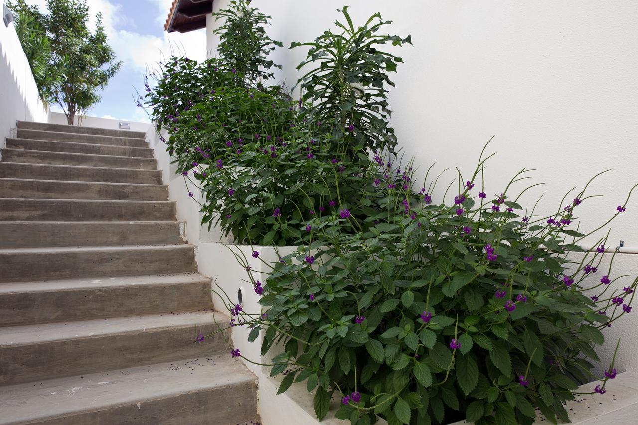 One Ocean Boutique Apartments & Suites Bonaire Kralendijk  Bagian luar foto