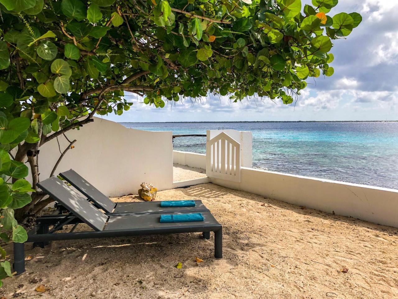 One Ocean Boutique Apartments & Suites Bonaire Kralendijk  Bagian luar foto
